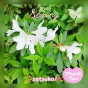 ヒメ日記 2025/04/12 11:14 投稿 せつこ 完熟ばなな 上野店