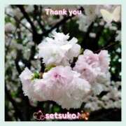 ヒメ日記 2025/04/14 11:00 投稿 せつこ 完熟ばなな 上野店