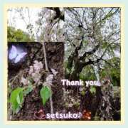 ヒメ日記 2025/04/14 15:20 投稿 せつこ 完熟ばなな 上野店