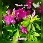 ヒメ日記 2025/04/16 11:01 投稿 せつこ 完熟ばなな 上野店