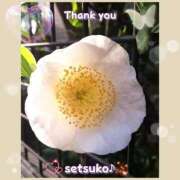 ヒメ日記 2025/04/17 23:20 投稿 せつこ 完熟ばなな 上野店