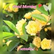 ヒメ日記 2025/04/18 06:20 投稿 せつこ 完熟ばなな 上野店