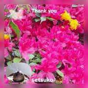 ヒメ日記 2025/04/18 10:50 投稿 せつこ 完熟ばなな 上野店