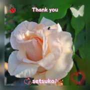 ヒメ日記 2025/04/22 10:30 投稿 せつこ 完熟ばなな 上野店