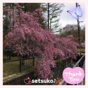 ヒメ日記 2025/04/25 23:20 投稿 せつこ 完熟ばなな 上野店