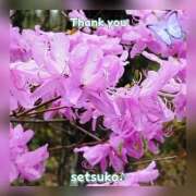 ヒメ日記 2025/04/26 08:50 投稿 せつこ 完熟ばなな 上野店