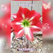 ヒメ日記 2025/05/08 18:50 投稿 せつこ 完熟ばなな 上野店