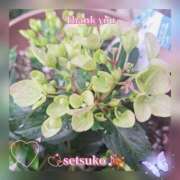 ヒメ日記 2025/05/13 06:20 投稿 せつこ 完熟ばなな 上野店