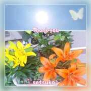 ヒメ日記 2025/05/13 10:50 投稿 せつこ 完熟ばなな 上野店