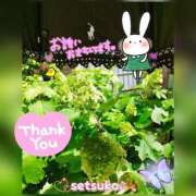 ヒメ日記 2025/05/13 14:50 投稿 せつこ 完熟ばなな 上野店