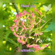 ヒメ日記 2025/05/14 06:20 投稿 せつこ 完熟ばなな 上野店