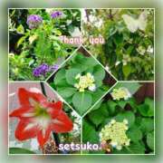 ヒメ日記 2025/05/23 16:00 投稿 せつこ 完熟ばなな 上野店