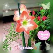 ヒメ日記 2025/05/27 00:00 投稿 せつこ 完熟ばなな 上野店