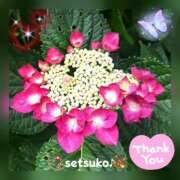 ヒメ日記 2025/05/28 17:20 投稿 せつこ 完熟ばなな 上野店