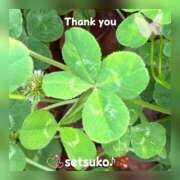 ヒメ日記 2025/05/29 08:35 投稿 せつこ 完熟ばなな 上野店