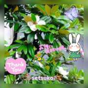 ヒメ日記 2025/05/30 14:50 投稿 せつこ 完熟ばなな 上野店