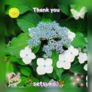 ヒメ日記 2025/06/09 06:10 投稿 せつこ 完熟ばなな 上野店