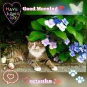 ヒメ日記 2025/06/16 06:20 投稿 せつこ 完熟ばなな 上野店