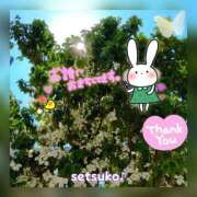 ヒメ日記 2025/06/17 16:10 投稿 せつこ 完熟ばなな 上野店