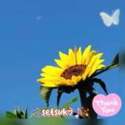 ヒメ日記 2025/06/18 16:11 投稿 せつこ 完熟ばなな 上野店