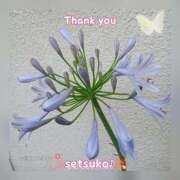 ヒメ日記 2025/06/20 15:20 投稿 せつこ 完熟ばなな 上野店