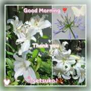 ヒメ日記 2025/06/24 06:00 投稿 せつこ 完熟ばなな 上野店