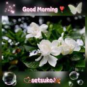 ヒメ日記 2025/06/27 06:30 投稿 せつこ 完熟ばなな 上野店