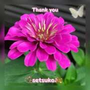 ヒメ日記 2025/06/28 10:50 投稿 せつこ 完熟ばなな 上野店