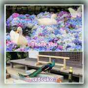 ヒメ日記 2025/07/02 15:50 投稿 せつこ 完熟ばなな 上野店