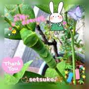 ヒメ日記 2025/07/05 15:36 投稿 せつこ 完熟ばなな 上野店