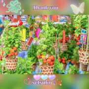 ヒメ日記 2025/07/11 00:10 投稿 せつこ 完熟ばなな 上野店