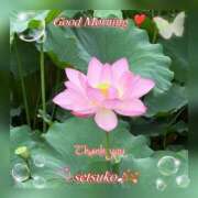 ヒメ日記 2025/07/12 06:40 投稿 せつこ 完熟ばなな 上野店