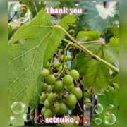 ヒメ日記 2025/07/16 10:50 投稿 せつこ 完熟ばなな 上野店