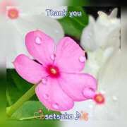 ヒメ日記 2025/07/17 16:20 投稿 せつこ 完熟ばなな 上野店