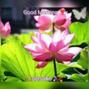 ヒメ日記 2025/07/21 04:00 投稿 せつこ 完熟ばなな 上野店