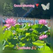 ヒメ日記 2025/07/25 06:20 投稿 せつこ 完熟ばなな 上野店