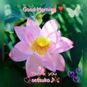 ヒメ日記 2025/07/29 07:50 投稿 せつこ 完熟ばなな 上野店