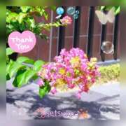 ヒメ日記 2025/07/29 15:50 投稿 せつこ 完熟ばなな 上野店