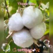 ヒメ日記 2025/08/21 08:40 投稿 せつこ 完熟ばなな 上野店