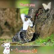 ヒメ日記 2025/08/22 15:20 投稿 せつこ 完熟ばなな 上野店