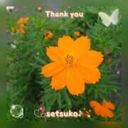 ヒメ日記 2025/09/15 22:21 投稿 せつこ 完熟ばなな 上野店