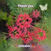 ヒメ日記 2025/09/25 23:40 投稿 せつこ 完熟ばなな 上野店