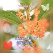 ヒメ日記 2025/10/24 11:50 投稿 せつこ 完熟ばなな 上野店