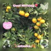 ヒメ日記 2025/10/29 10:30 投稿 せつこ 完熟ばなな 上野店