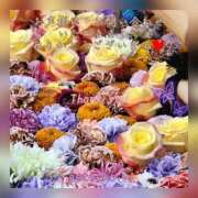 ヒメ日記 2025/11/01 14:20 投稿 せつこ 完熟ばなな 上野店