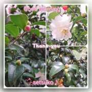 ヒメ日記 2025/11/08 06:30 投稿 せつこ 完熟ばなな 上野店