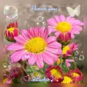 ヒメ日記 2025/11/09 18:07 投稿 せつこ 完熟ばなな 上野店