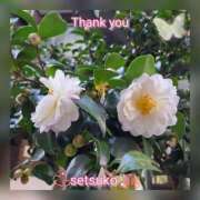 ヒメ日記 2025/11/18 10:04 投稿 せつこ 完熟ばなな 上野店