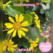 ヒメ日記 2025/11/26 09:44 投稿 せつこ 完熟ばなな 上野店