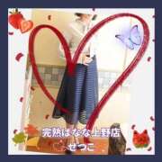 ヒメ日記 2025/12/01 22:54 投稿 せつこ 完熟ばなな 上野店